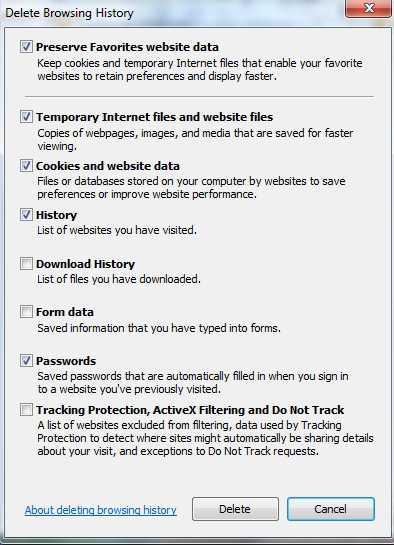 IE Delete History