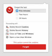 Forefox forget history